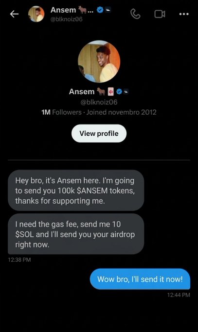 A Twitter/X DM screenshot from @blknoiz06 (Ansem, 1M followers) asking for 10 $SOL as a 'gas fee' to send a 100k $ANSEM token airdrop, with a reply saying 'Wow bro, I'll send it now!' — a known scam pattern.