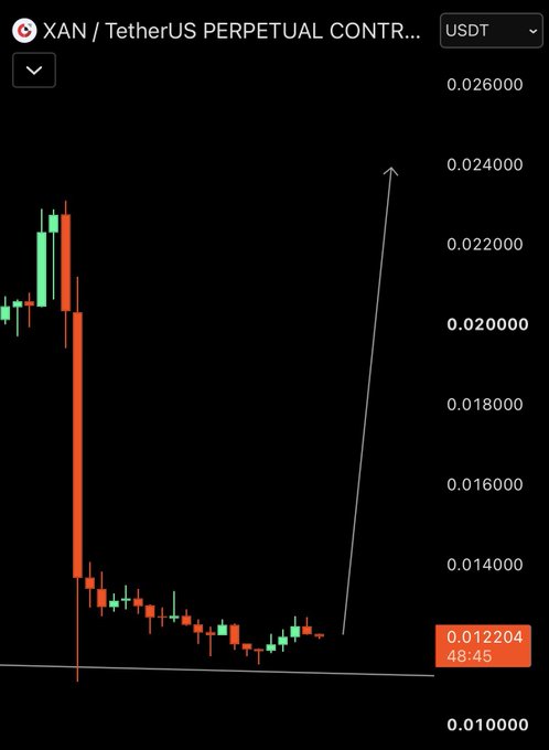 A candlestick chart of the XAN/USDT perpetual contract shows a sharp decline from ~0.024 to ~0.012, with a hand-drawn arrow pointing upward from the current price of 0.012204, illustrating a potential bounce.