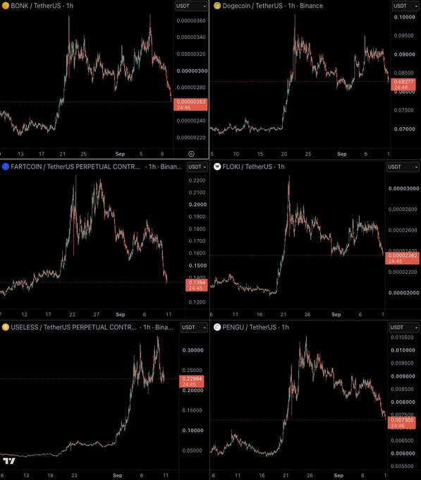 Six cryptocurrency charts on a dark background showing BONK, Dogecoin, FARTCOIN, FLOKI, USELESS, and PENGU all trading against TetherUS (USDT) on 1-hour timeframes, with most showing declining trends in late 2025.