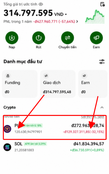 A Vietnamese crypto investment app screenshot showing a total estimated assets balance of 314,797,595 VND, with a red box highlighting significant losses on Pi cryptocurrency holdings of 120,630.94799701 Pi (down 32.15%, -đ129,327,311.85).