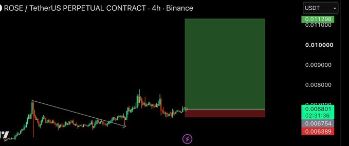 A 4-hour candlestick chart of the 'ROSE / TetherUS PERPETUAL CONTRACT' on Binance displays a long position setup with a red entry zone and a large green take-profit target box.