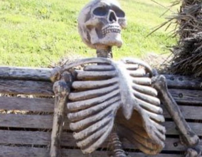 A weathered skeleton sits slumped against a wooden fence with grass in the background, its skull tilted back.