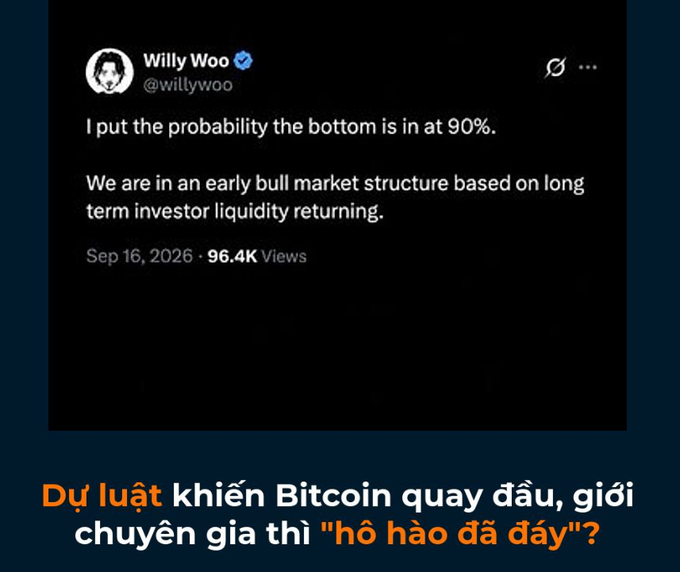 A screenshot of a tweet by Willy Woo (@willywoo) stating 'I put the probability the bottom is in at 90%. We are in an early bull market structure based on long term investor liquidity returning,' dated Sep 16, 2026, with Vietnamese text below.