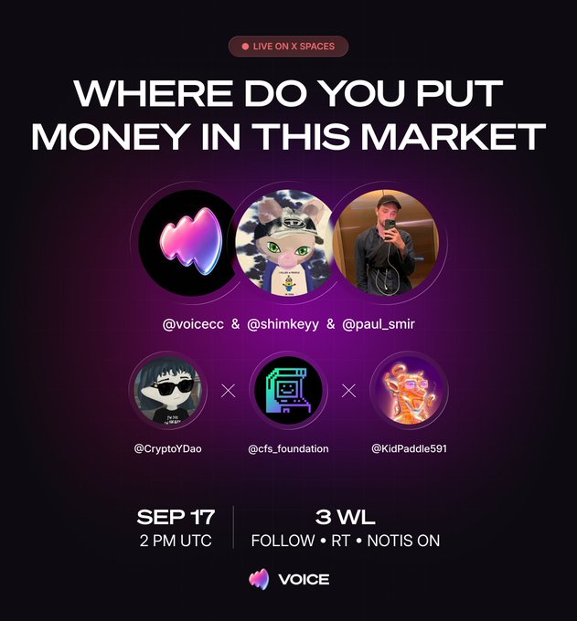 Promotional graphic for an X Spaces audio chat titled 'WHERE DO YOU PUT MONEY IN THIS MARKET,' featuring hosts @voicecc, @shimkeyy, and @paul_smir, scheduled for September 17.