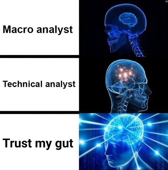 An expanding brain meme comparing 'Macro analyst', 'Technical analyst', and 'Trust my gut' with progressively glowing brain images.