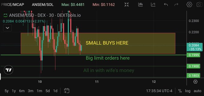 A TradingView chart for ANSEM/SOL on DEXTböls.io shows a 30-minute candlestick view with price levels of 0.2084 (-2.31%) and annotations labeling zones for "SMALL BUYS HERE" (around 0.2084–0.2200), "Big limit orders here" (0.1999), and "All in with wife's money" (0.1900), illustrating the strategy of trickle buying above 0.20 and placing larger limit orders below that threshold to avoid being dumped on.