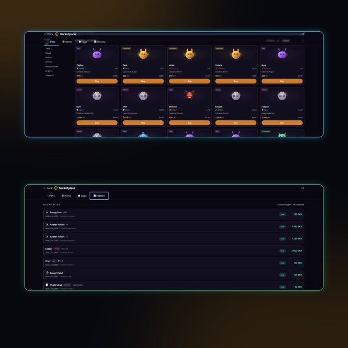 Two screenshots of a crypto NFT marketplace interface: the top shows 'Pets' with various creatures for sale, and the bottom shows a 'History' tab with recent sales including 'Energy item' for 320 SKR and 'Avatar-Pistols' for 1,099 SKR.