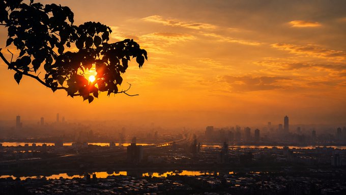 A silhouette of leafy tree branches frames a golden sunset over a hazy cityscape with a river winding through it.