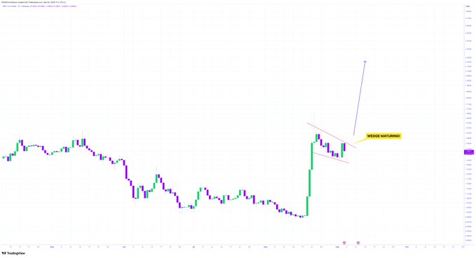 A candlestick chart (Ambrosius) on TradingView displaying a descending wedge pattern after a sharp upward move, with a blue arrow pointing up and text 'WEDGE MATURING' highlighted in yellow.