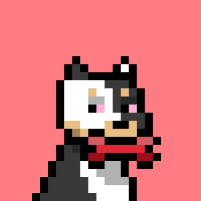 A pixel art image of a black and white cat wearing a red scarf against a red background.