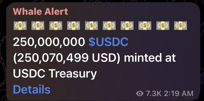 A "Whale Alert" notification reports that 250,000,000 $USDC (250,070,499 USD) was minted at the USDC Treasury, corresponding to the post's mention of $500m USDC being issued on Solana.