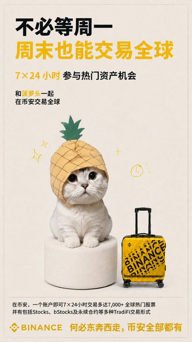 A Binance advertisement in Chinese featuring a cat wearing a pineapple hat next to a yellow suitcase, promoting 24/7 trading of global assets.
