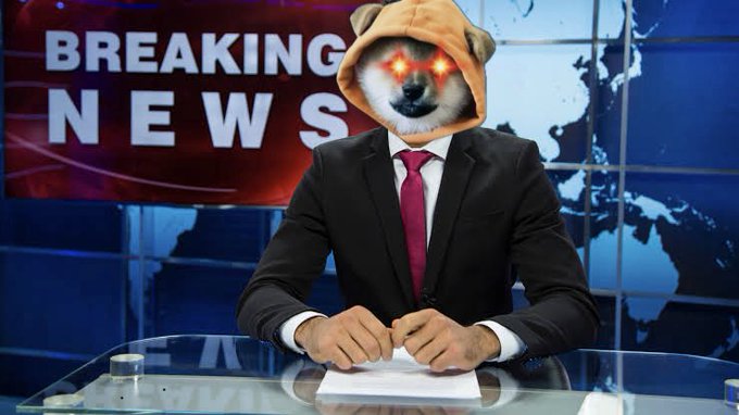 An AI-generated news anchor with a dog (Shiba Inu) head featuring glowing red eyes, wearing a suit, in front of a 'BREAKING NEWS' backdrop.