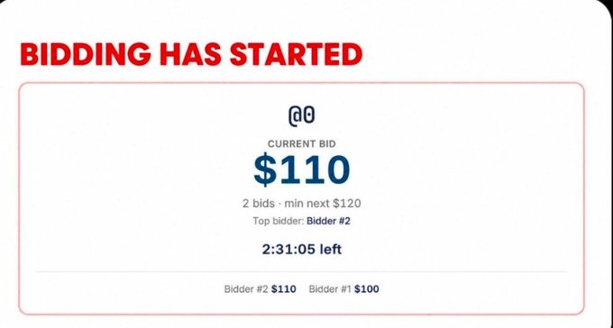 A bidding screen with the text "BIDDING HAS STARTED", showing a current bid of $110, "2 bids · min next $120", "Top bidder: Bidder #2", and "2:31:05 left" remaining.