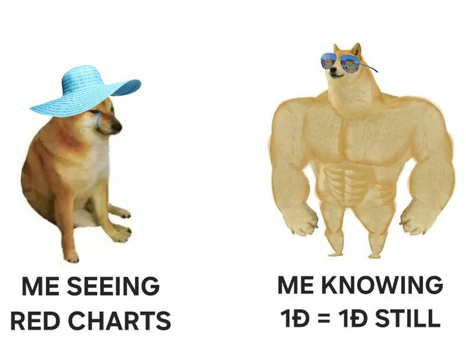 A humorous meme featuring two Doge/Shiba Inu characters. On the left, a sad Doge wearing a blue sun hat with the text 'ME SEEING RED CHARTS'. On the right, a buff muscular Doge wearing sunglasses with the text 'ME KNOWING 1D = 1D STILL'.