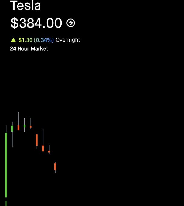 A stock trading app screenshot shows Tesla (TSLA) at $384.00, down $1.30 (0.34%) overnight, with a 24-hour market candlestick chart displaying price movements in green and red.
