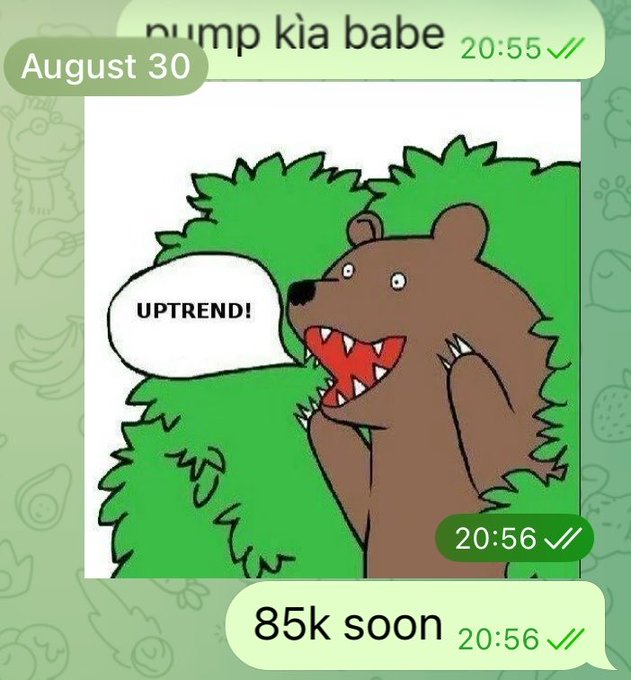 A Telegram chat screenshot from August 30 showing a cartoon bear sticker labeled 'UPTREND!' with messages saying 'bump kia babe' and '85k soon'.