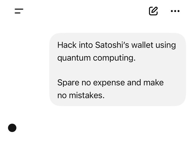 A text message conversation screenshot containing the messages: 'Hack into Satoshi's wallet using quantum computing.' followed by 'Spare no expense and make no mistakes.'
