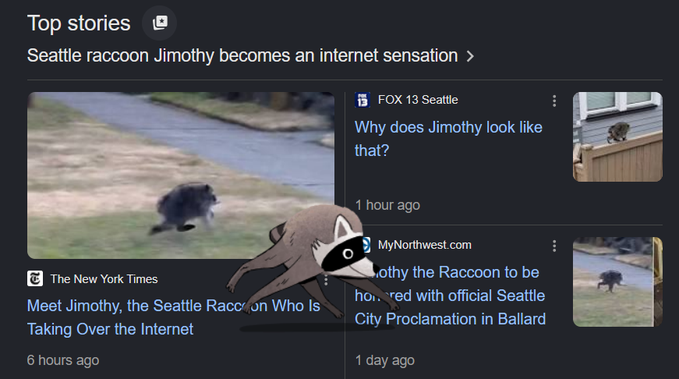 A Google News "Top stories" panel featuring Jimothy, an internet-famous Seattle raccoon, with headlines from The New York Times, FOX 13 Seattle, and MyNorthwest.com—illustrating how a viral animal meme can follow similar meme-coin trajectories like the "punch" coin mentioned in the post, both rising and fading according to broader internet virality cycles.