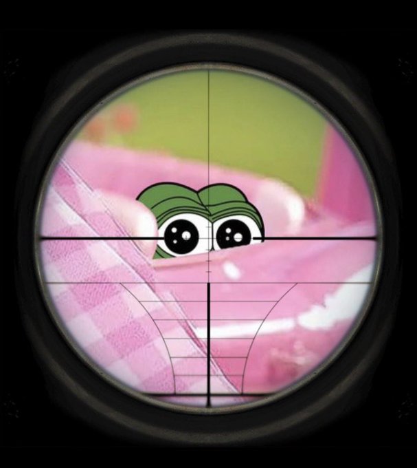 A view through a sniper scope crosshair showing a small cartoon green frog peeking out from behind pink fabric.