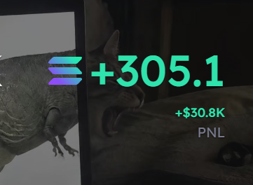 A split-screen showing a rhinoceros on the left and a roaring panther on the right, overlaid with the Solana logo and green text reading '+305.1' and '+$30.8K PNL'.