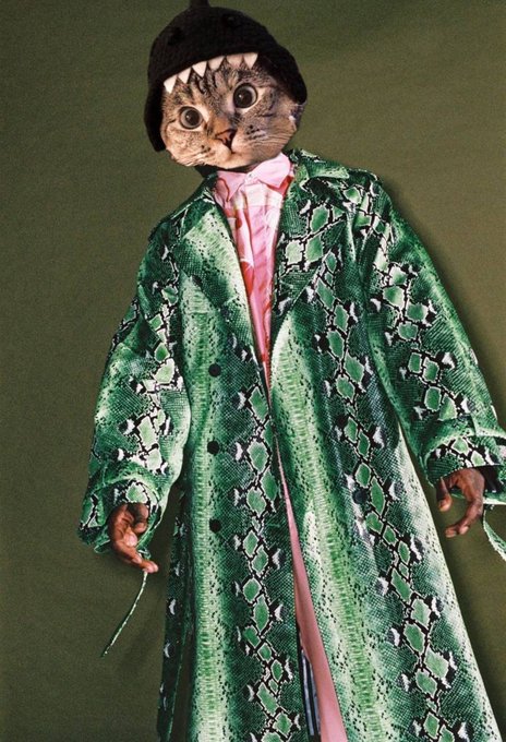 A surreal portrait of a person wearing a snake-print green coat over a pink shirt, with a cat's face and a black knit cap, set against a green background.