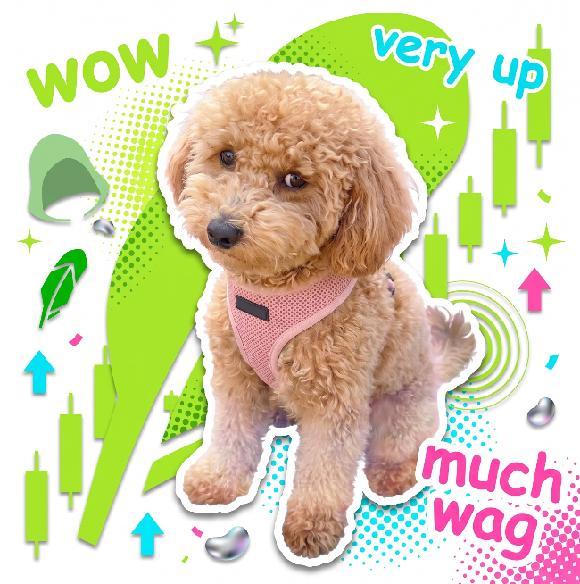 A promotional graphic features a fluffy tan poodle wearing a pink harness surrounded by green and pink design elements with text reading 'wow,' 'very up,' and 'much wag.'