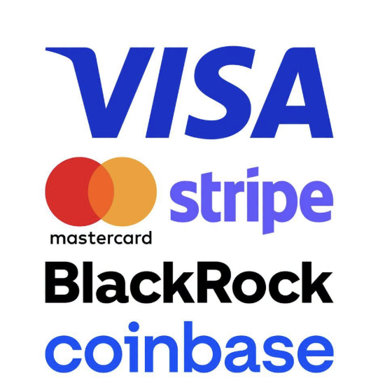 A logo collage featuring financial and crypto industry giants: Visa, Mastercard, Stripe, BlackRock, and Coinbase stacked vertically.