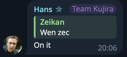 A screenshot from a video call shows a man's face in the bottom left corner alongside a chat or game interface displaying 'Hans', 'Team Kujira', 'Zeikan', 'Wen zec', 'On it', and a timestamp of '20:06'.