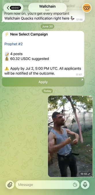 A screenshot of a Wallchain bot Telegram message showing a 'New Select Campaign' for 'Prophet #2' with a 60.32 USDC suggested bounty and a GIF.
