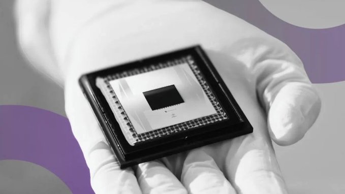 A close-up of a computer chip or processor being held in a gloved hand against a purple and gray background.