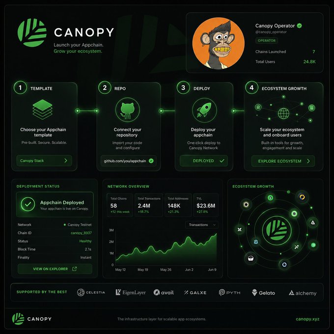 !!!THE POST IS CALLED CNPY!!! It is an explanation of how users can create their own appchain using Appery.