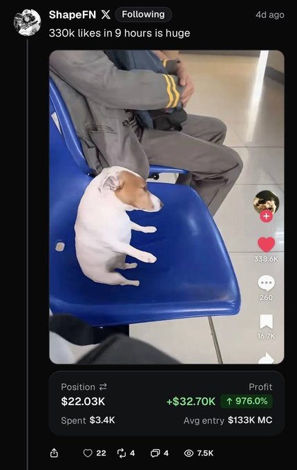 The image shows a Jack Russell Terrier sitting politely on a blue chair next to a person, posted by ShapeFN noting the TikTok video's viral success with 330k likes in 9 hours, while a trading overlay below shows a +$32.70K (+976%) profit on $SDOG—illustrating how the meme-driven traction on the dog video translated into massive gains on the $SDOG ticker.