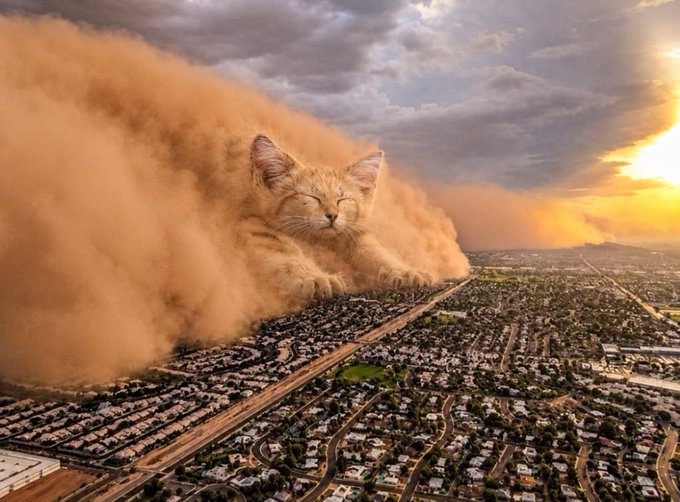 A giant orange tabby cat rises out of a massive dust storm, looming over a sprawling suburban neighborhood at sunset as if the calm itself is advancing on the city. The image mirrors the post's contrast between surface-level fear and the steady, unfazed accumulation underneath the chart—peaceful confidence above, a vast landscape of activity below.