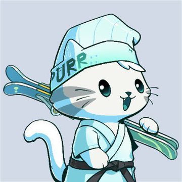 The image features a cartoon cat dressed in a blue kimono, wearing a white hat with "PURR" written on it. The cat holds two pairs of skis in its paws, one green and one blue. The caption reads "Arthur Hayes just dumped his entire Hypurr as his PFP At least change your PFP bro".