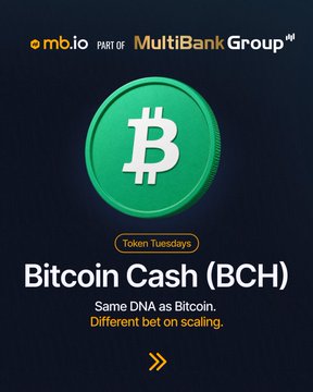 A promotional graphic from mb.io (part of MultiBank Group) featuring a green Bitcoin Cash coin illustration for their "Token Tuesdays" spotlight series, with text reading "Bitcoin Cash (BCH) - Same DNA as Bitcoin. Different bet on scaling." The image visually supports the post's theme by highlighting BCH's connection to Bitcoin while emphasizing its distinct scaling-focused approach.