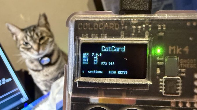 A tabby cat supervises development of the "CatCard" firmware on a COLDCARD Mk4 hardware wallet, which displays version 2.0.0 firmware details (NVK 7.0.0, A&L, DUT, RNG all "OK") with prompts to "continue" using "USB KEYS," directly illustrating the real-hardware initialization testing described in the post.