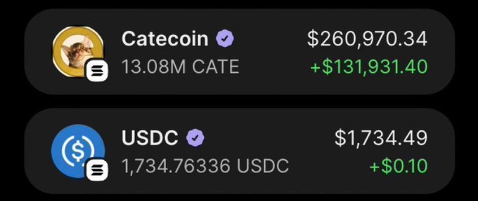 A cryptocurrency portfolio screenshot displays holdings of 13.08M Catecoin (CATE) valued at $260,970.34 with a gain of +$131,931.40, and 1,734.76336 USDC valued at $1,734.49 with a gain of +$0.10. The image visually supports the poster's claim of a successful $CATE investment, showing the substantial portfolio value derived from their early call when the token was at a 6k market cap.