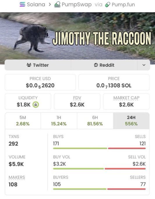 A meme coin dashboard for "Jimothy the Raccoon" on Solana's PumpSwap shows the token trading at $0.052620 with a $2.6K market cap and 556% gain in 24 hours—despite the post claiming it's actually at a $22M market cap, suggesting the screenshot either predates or contradicts the post's viral success narrative.