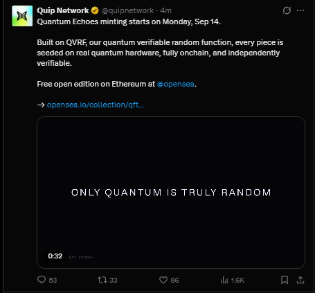 A tweet from Quip Network (@quipnetwork) announces "Quantum Echoes" minting starts on Monday, Sep 14, with a video captioned "ONLY QUANTUM IS TRULY RANDOM." The accompanying post points out the irony that the timer shown was merely a "announcement of announcement" for the mint date on opensea.io/collection/qft.