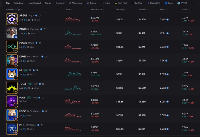 A memecoin tracking dashboard displaying tokens like ARGUS ($12.7M), PANCHU ($253K), Minara ($297K), DUKE, MI, TOLLY, POLL, USDC, and PI with trend charts and market metrics.