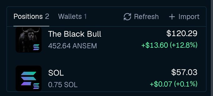 A digital portfolio interface showing two positions: 'The Black Bull' with 452.64 ANSEM valued at $120.29 (+$13.60, +12.8%), and SOL with 0.75 SOL valued at $57.03 (+$0.07, +0.1%).