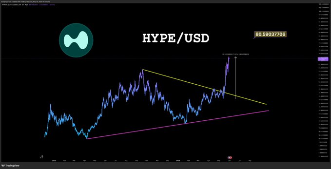The image shows a chart of a cryptocurrency called "HYPE" (Hyperbole USDC) against time, with a price line going up from left to right. The chart has a purple background, and there are two lines representing the price of Hyperbole over time. The text in the image reads "we have been in HYPE since $25 with size", which is likely an attempt to describe the current state or history of the cryptocurrency.