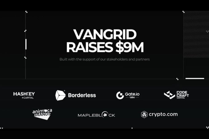 A dark promotional graphic announces "VANGRID RAISES $9M" with the tagline "Built with the support of our stakeholders and partners," displaying logos of its six backers—HashKey Capital, Borderless, Gate.io Labs, Code Craft Capital, Animoca Brands, Mapleblock, and Crypto.com—across the bottom, visually reinforcing the post's note about the stealth $9M raise backed by these investors.