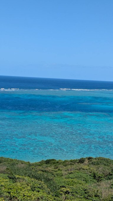 A scenic view of a turquoise ocean with coral reef visible beneath the clear water, framed by green coastal vegetation in the foreground under a bright blue sky.