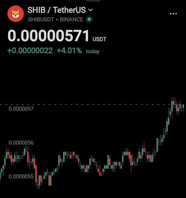 A cryptocurrency trading chart for SHIB/TetherUS (SHIBUSDT) on Binance shows the price at 0.00000571 USDT, up by +0.00000022 (+4.01%) for the day, with a candlestick graph displaying price action ranging roughly between 0.0000055 and above 0.0000057.