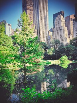 Photograph of a lush green park with a reflective pond, surrounded by tall city skyscrapers against a clear blue sky.