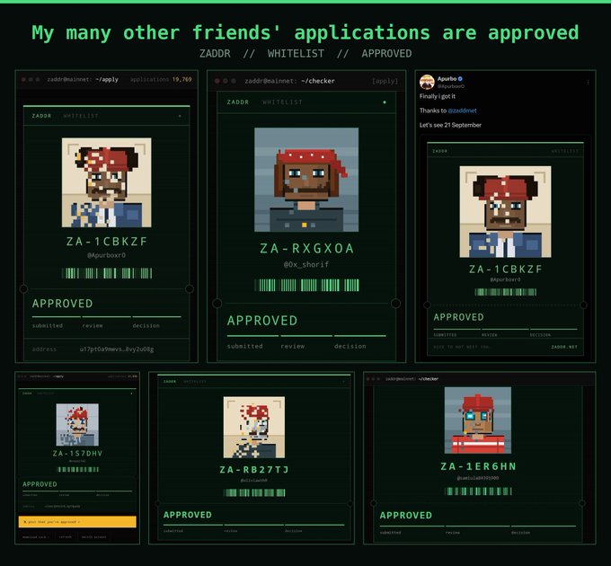 A collage titled 'My many other friends' applications are approved' showing six approved ZADOR whitelist applications featuring pixelated pirate-themed avatars.