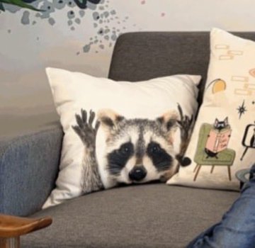 A decorative throw pillow featuring a raccoon face design with raised black paws sits on a gray chair next to another pillow with a cat illustration.