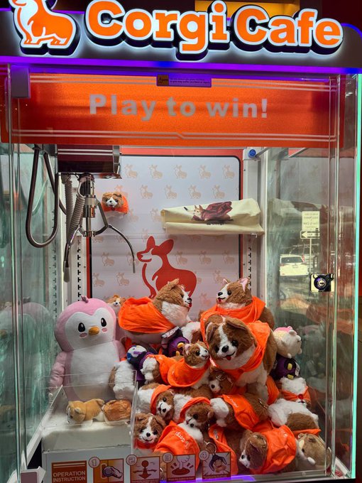 A claw machine labeled 'Corgi Cafe' with the text 'Play to win!' displaying stuffed corgi dogs wearing orange bandanas and a penguin plushie as prizes.